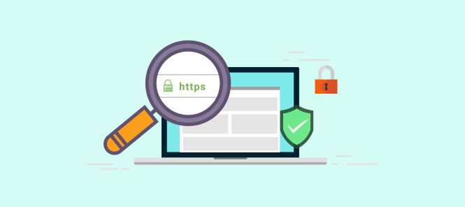 How To Protect Your WordPress Website Using HTTPS.